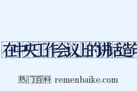 在中央工作会议上的讲话造句是什么意思的图片